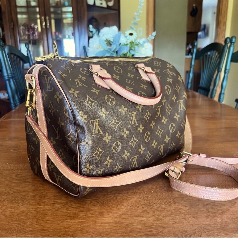 Louis Vuitton Brown Monogram Handbag